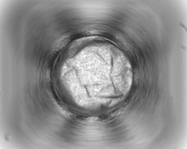 X0000093260410200710241337