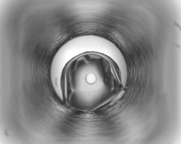 X0000093260412200710241337