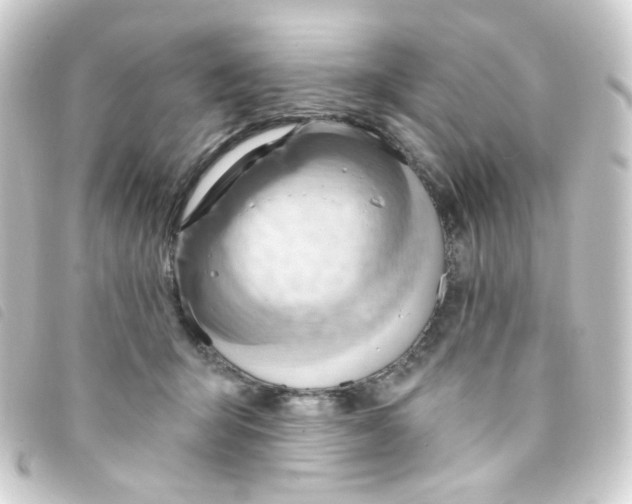 X0000093260415200710241337