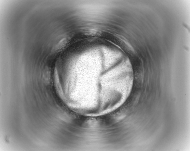 X0000093260416200710241337