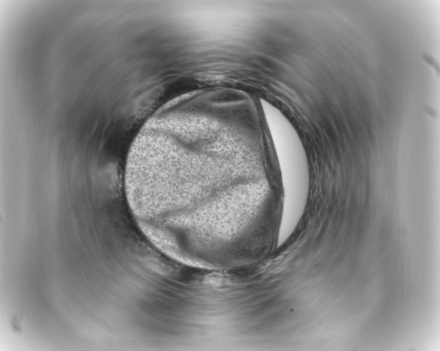 X0000093260420200710241337