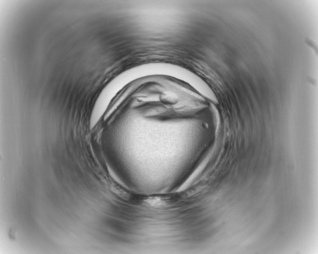 X0000093260425200710241337