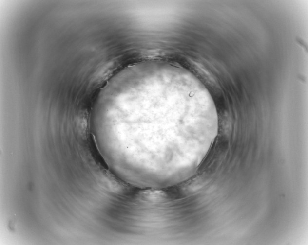 X0000093260427200710241337
