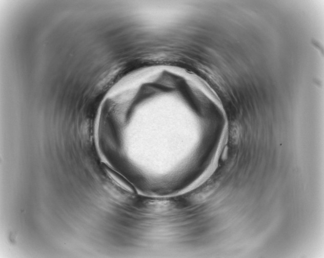 X0000093260428200710241337