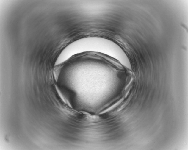 X0000093260429200710241337