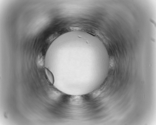 X0000093260431200710241337