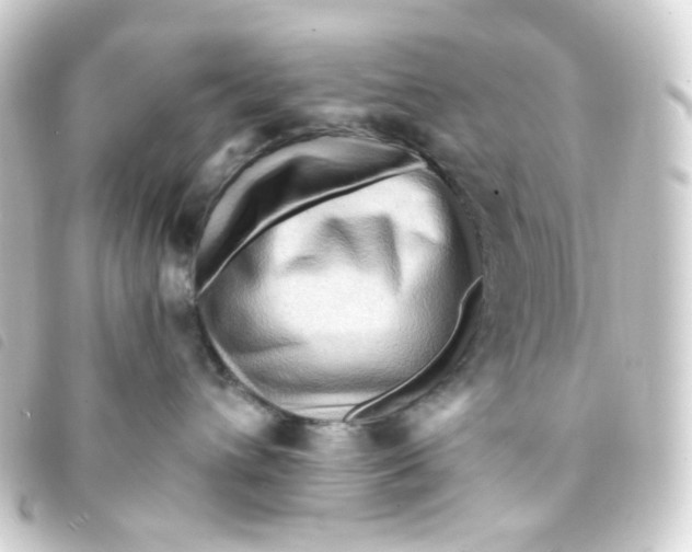 X0000093260432200710241337