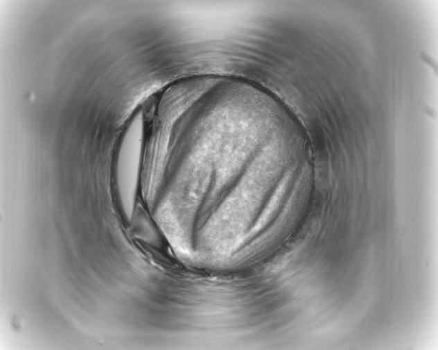 X0000093260434200710241336