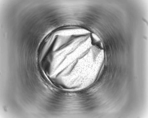 X0000093260435200710241336