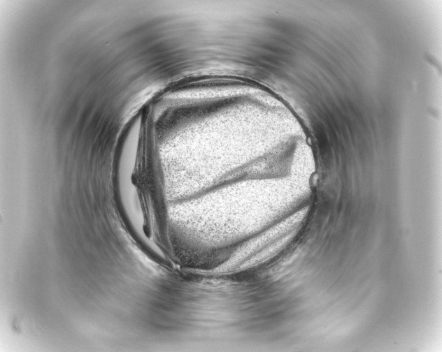 X0000093260437200710241336