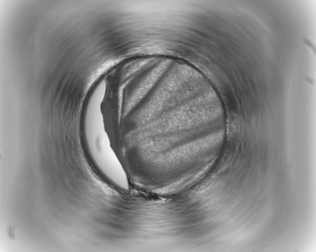 X0000093260438200710241336