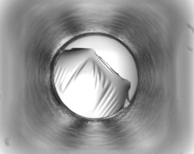 X0000093260440200710241336