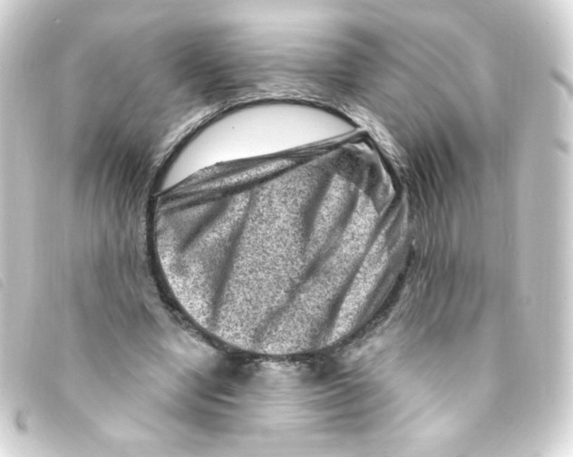 X0000093260442200710241336