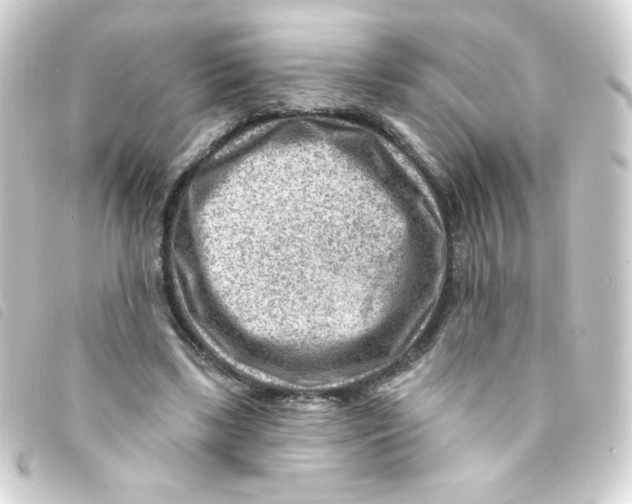 X0000093260443200710241336