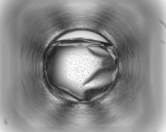 X0000093260444200710241336