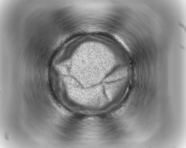 X0000093260447200710241336