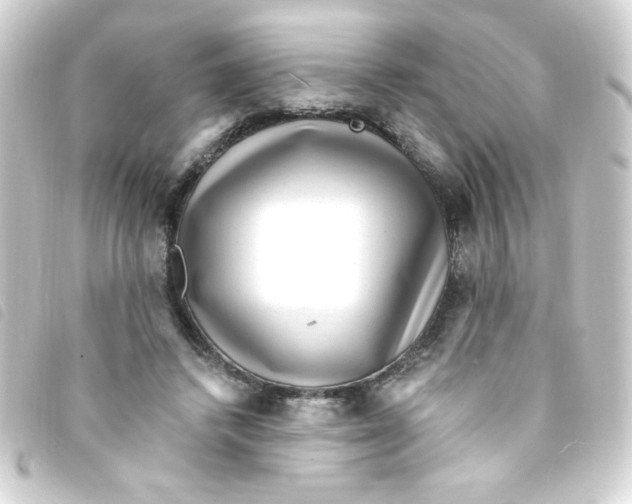X0000093260448200710241336