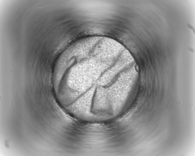 X0000093260449200710241336