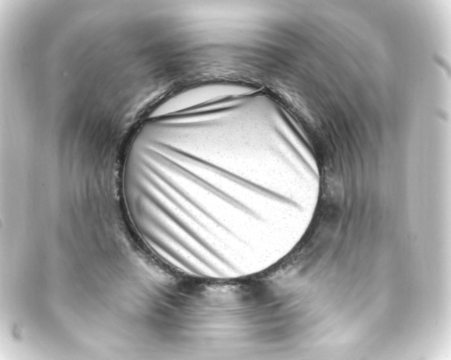 X0000093260450200710241336
