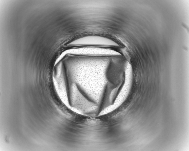 X0000093260455200710241336