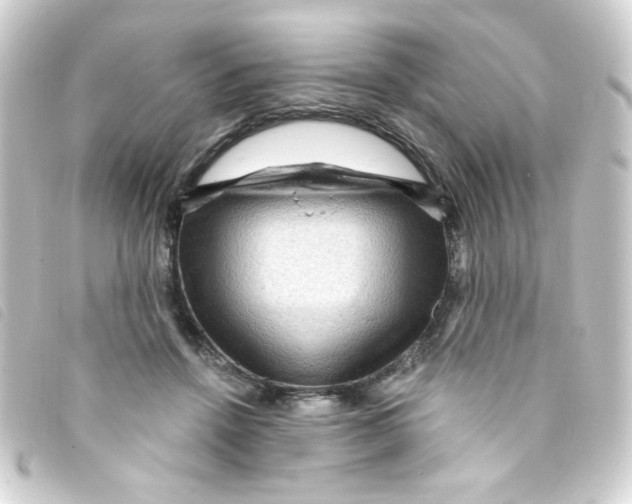 X0000093260456200710241336