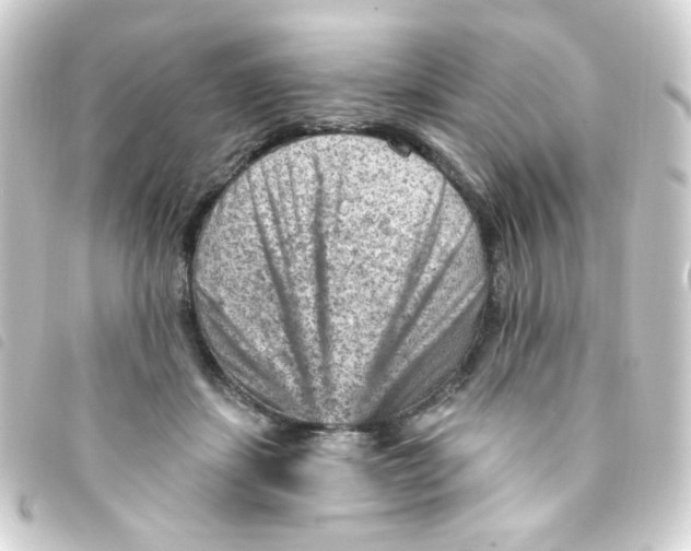 X0000093260459200710241336