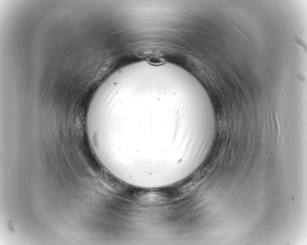 X0000093260460200710241336