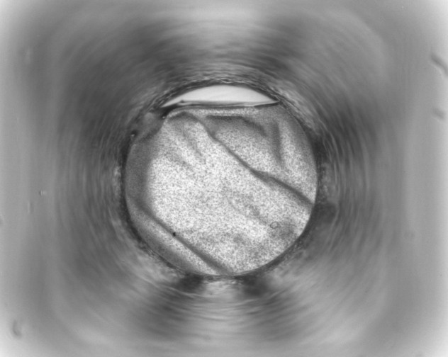 X0000093260461200710241336