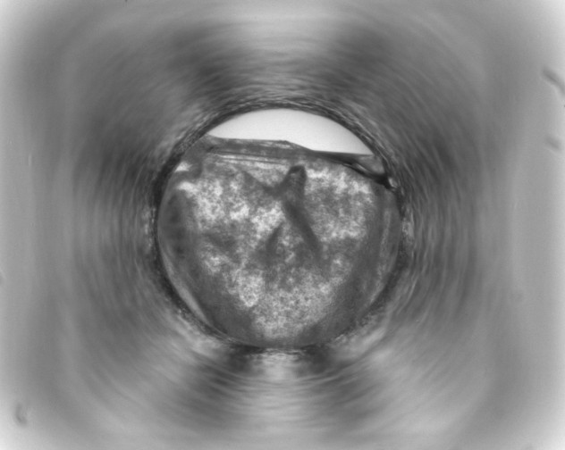 X0000093260462200710241336
