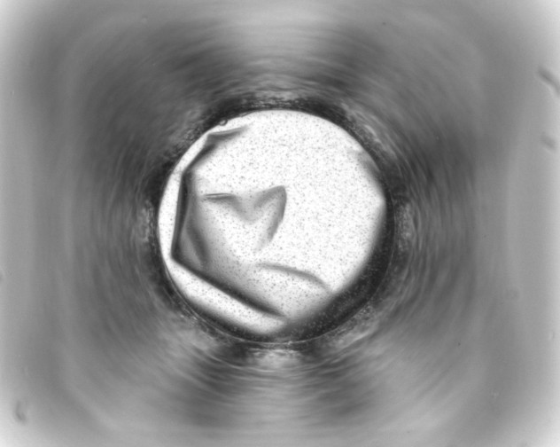 X0000093260463200710241336