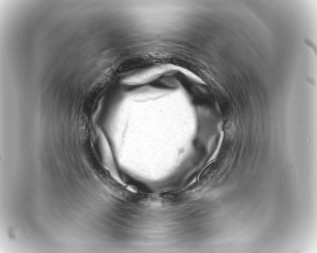 X0000093260464200710241336