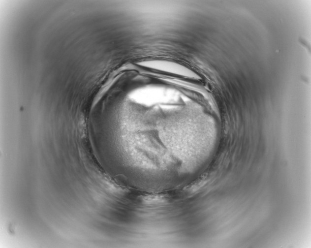 X0000093260465200710241336