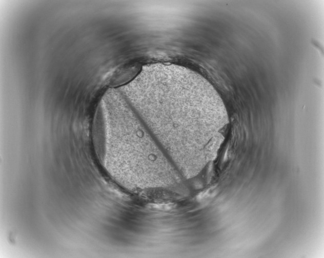 X0000093260466200710241336