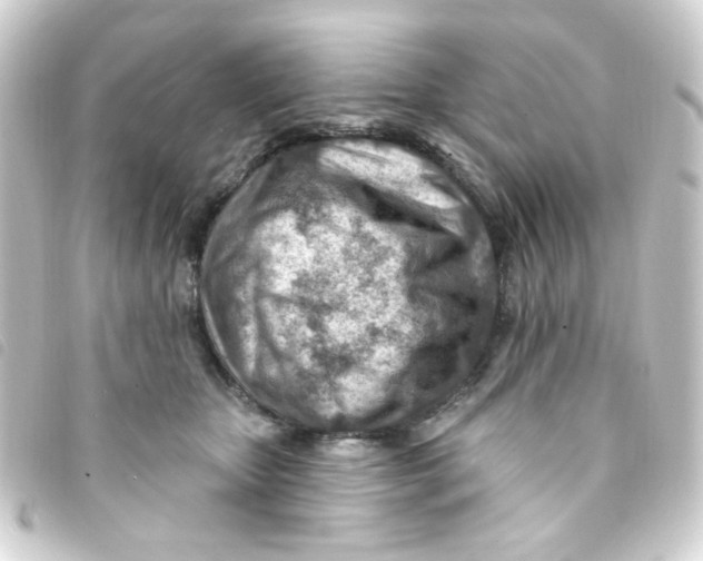 X0000093260467200710241336