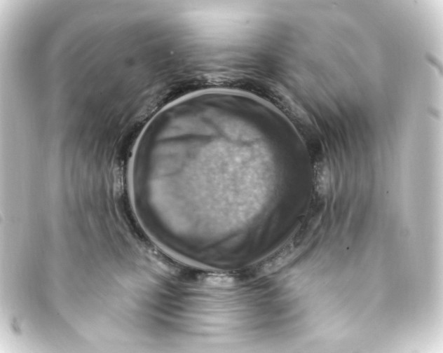 X0000093260471200710241337
