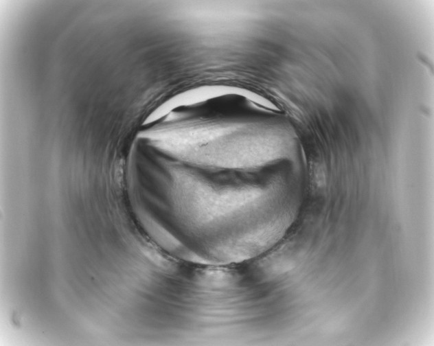 X0000093260475200710241337