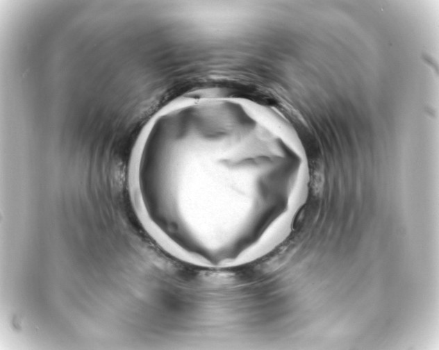 X0000093260476200710241337