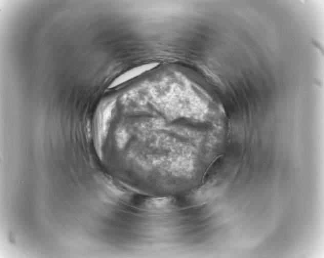 X0000093260479200710241337