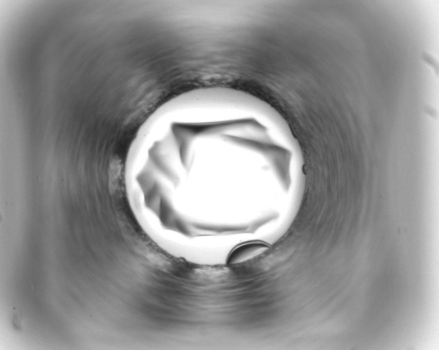 X0000093260480200710241337