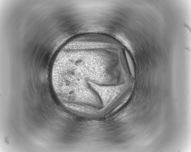 X0000093260483200710241336