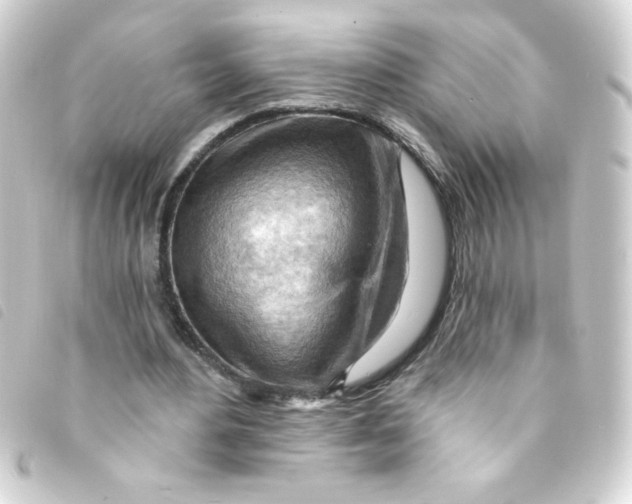 X0000093260484200710241336