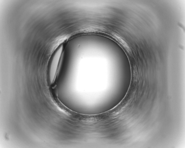 X0000093260485200710241336
