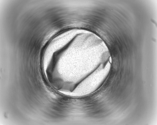 X0000093260486200710241336