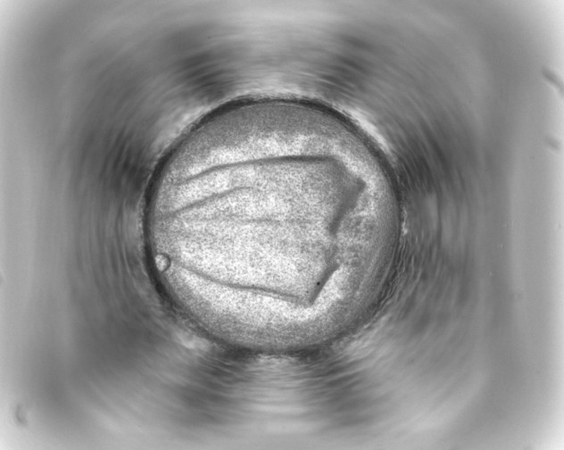 X0000093260487200710241336