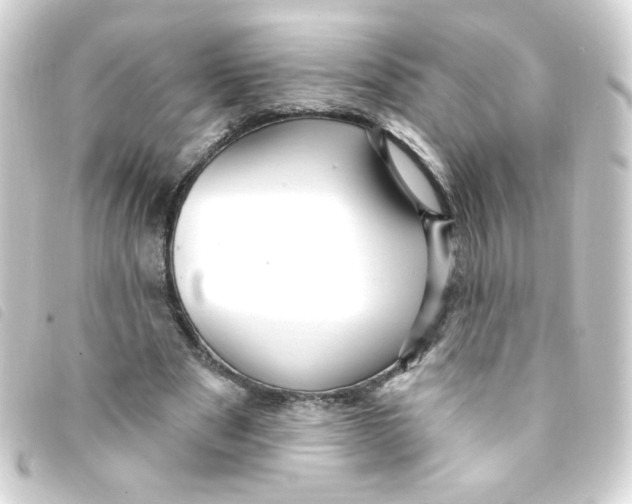 X0000093260489200710241336
