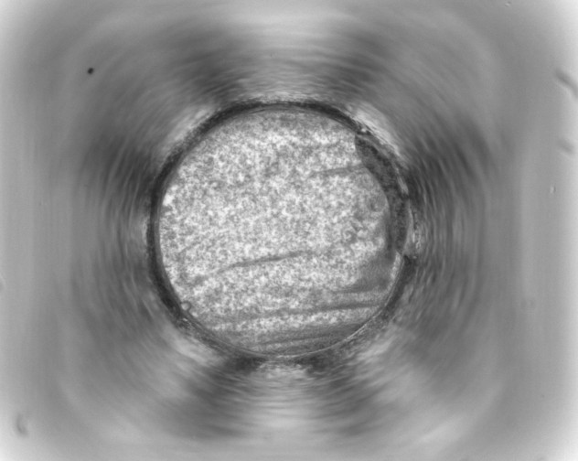 X0000093260491200710241336