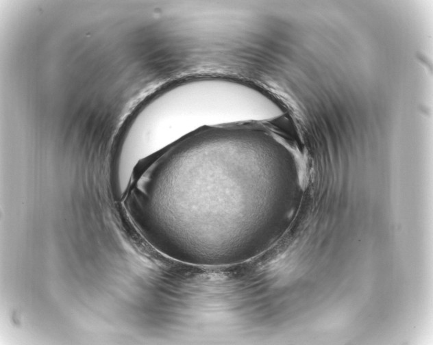 X0000093260492200710241336