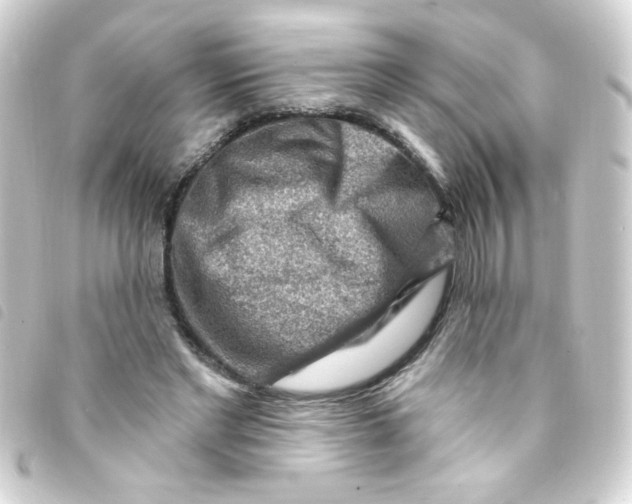 X0000093260493200710241336