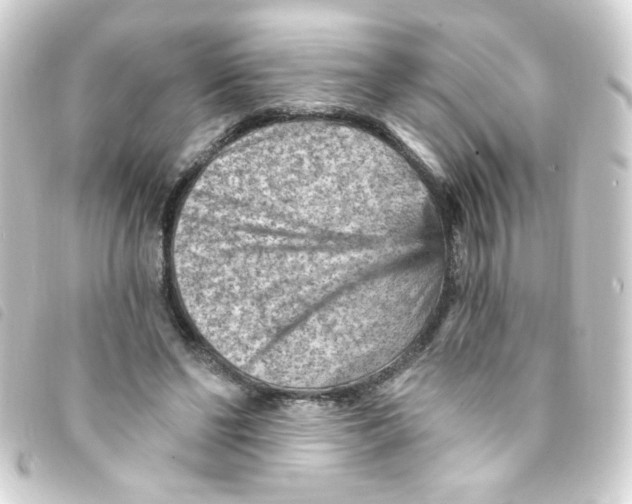 X0000093260494200710241336