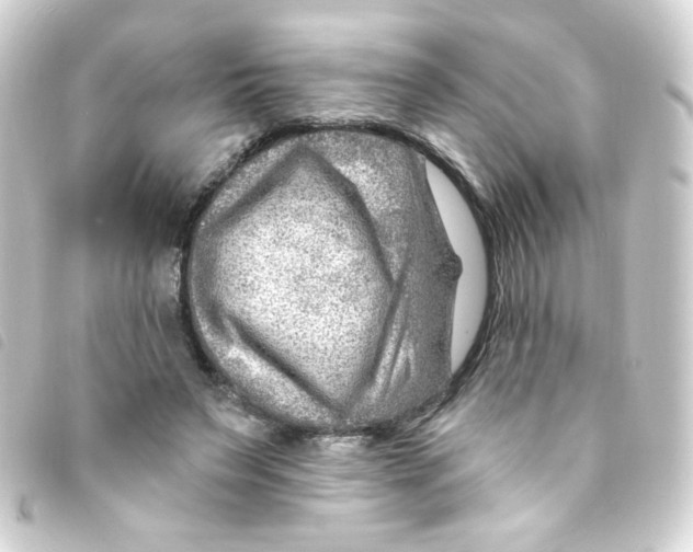 X0000093260495200710241336